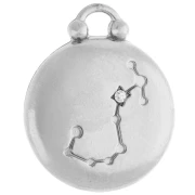Round reversible charm 17 mm Scorpio zodiac sign - 304 stainless steel x1