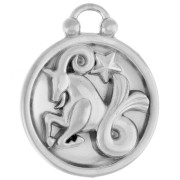 Round reversible charm 17 mm zodiac sign Capricorn - 304 stainless steel x1|raw }}