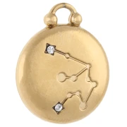 Round reversible charm 17 mm Aquarius zodiac sign - 304 stainless steel Gilded x1