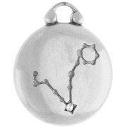 Round reversible charm 17 mm zodiac sign Pisces - 304 stainless steel x1