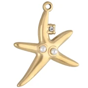 Starfish 22x19 mm rhinestone and imitation pearl pendant - 304 stainless steel, gold-plated