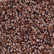 Seed beads Miyuki 15/0 55007 - Crystal Capri Gold x8g