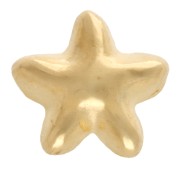 Starfish pusher 6 mm for 3 mm lace - Gold-plated x1