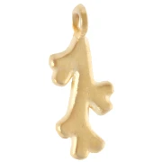 Charms