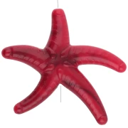 Marine theme