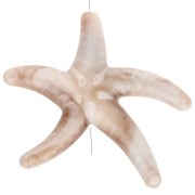 Beads - Acrylic starfish pearl 37x43 mm - Beige - Marbled brown x1 Acrylic starfish pearl 37x43 mm - Beige - Marbled brown x1
