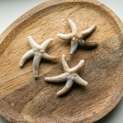 Acrylic starfish pearl 37x43 mm - Beige - Marbled brown x1