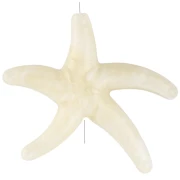Marine theme