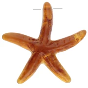 Starfish pendant 37x38 mm in resin - Caramel x1