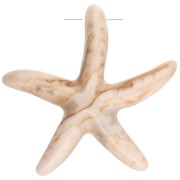 Starfish 37x38 mm resin pendant - Beige - Light brown marbled x1