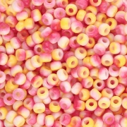 Miyuki 8/0 Seed Beads 55061 - Opaque White Funky Apple x8g