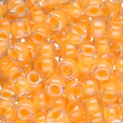Miyuki Seed beads 6/0