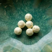 10 mm irregular round faceted opaque resin bead - Ecru x6