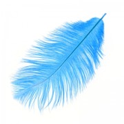 Ostrich feather 15-20cm Blue oil x1|raw }}