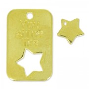charm military plate 30 mm and star 10mm fine Gold plated x1