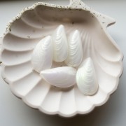 Pearl mold 34x18.5 mm in resin - Iridescent white x1