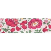 Liberty Fabric Bias Tape - D'anjo - White - Cherry - Green x 1 m
