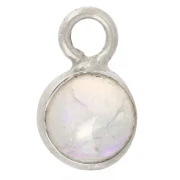 Pendant Charms