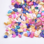Bag of unpierced, dyed seashell fragments - Multicolor x45 g