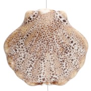 Ceramic shell bead 26x28.5 mm - Beige - Mottled brown x1