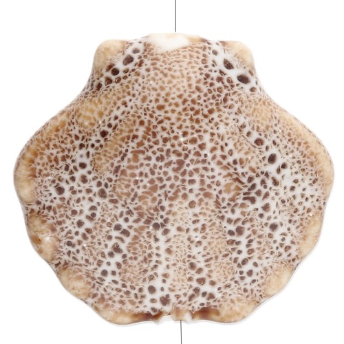 Ceramic shell bead 26x28.5 mm - Beige - Mottled brown x1