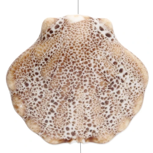Ceramic shell bead 26x28.5 mm - Beige - Mottled brown x1