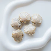 Ceramic shell bead 26x28.5 mm - Beige - Mottled brown x1