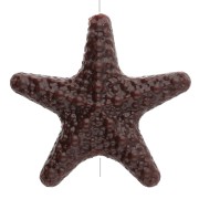 Beads - Textured acrylic starfish bead 31x33 mm - Dark brown x1 Textured acrylic starfish bead 31x33 mm - Dark brown x1