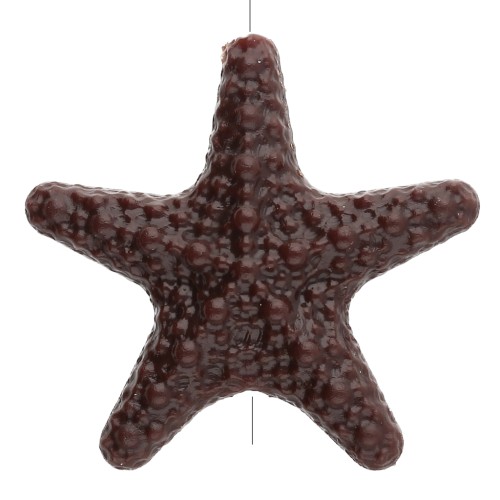 Textured acrylic starfish bead 31x33 mm - Dark brown x1