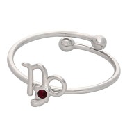 Adjustable Zodiac Sign Ring - Capricorn - 304L Stainless Steel - Red x1