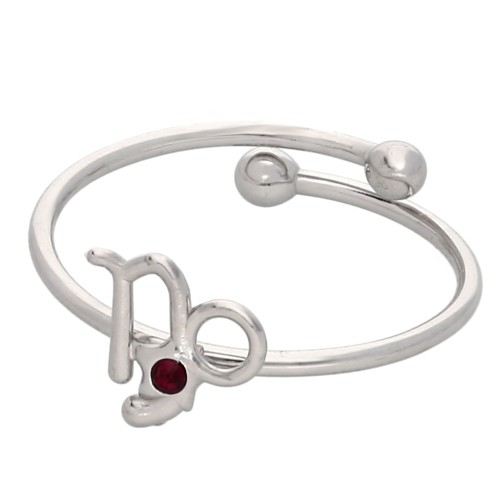 Adjustable Zodiac Sign Ring - Capricorn - 304L Stainless Steel - Red x1