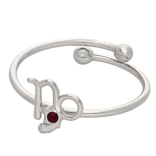 Adjustable Zodiac Sign Ring - Capricorn - 304L Stainless Steel - Red x1