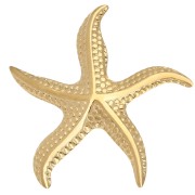 Starfish Brooch 49x45 mm - 304 Stainless Steel Gold x1|raw }}