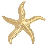 Broches