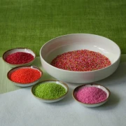 Miyuki Delica 11/0 Mix - Wild Flower x8g