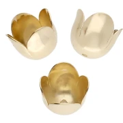 Accessories for Jewels