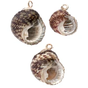 15-20 mm mottled shell pendant with gold trim - Grey - Black x1