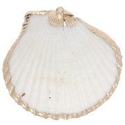 40-50 mm shell pendant with gold trim - Natural x1|raw }}