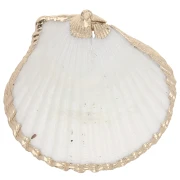 40-50 mm shell pendant with gold trim - Natural x1