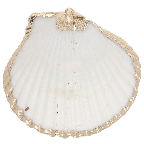 40-50 mm shell pendant with gold trim - Natural x1