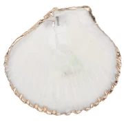 40-50 mm shell pendant with gold trim - Natural x1