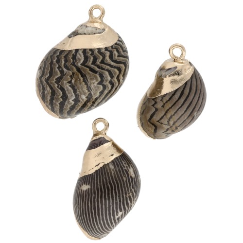 15 to 25 mm striped shell pendant with gold trim - Brown - Black x1