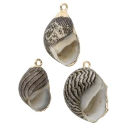 15 to 25 mm striped shell pendant with gold trim - Brown - Black x1