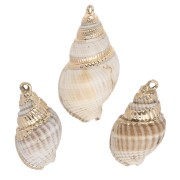 20-30 mm shell pendant with gold trim - Natural x1|raw }}