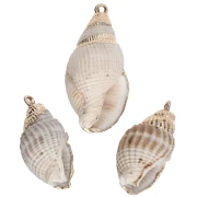 20-30 mm shell pendant with gold trim - Natural x1