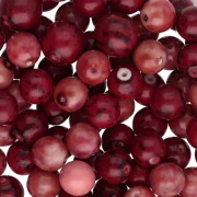 Glass Beads