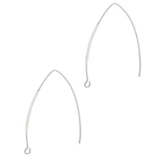 Earrings hooks