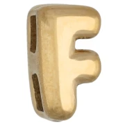 7x5 mm earring back for 1.6 mm cord - F - Gold-plated 304 stainless steel x1