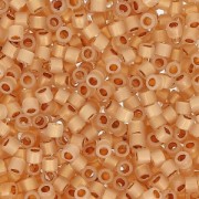 Miyuki Delica 11/0 DB0230 -  24kt Gold Lined Opal x5g|raw }}