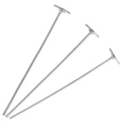 Wide Flat-Head Nail, 25x0.6 mm - 304 Stainless Steel x6